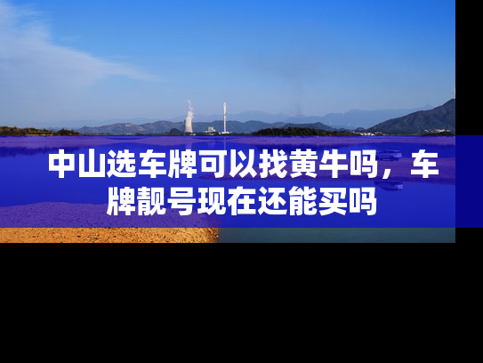 中山选车牌可以找黄牛吗，车牌靓号现在还能买吗