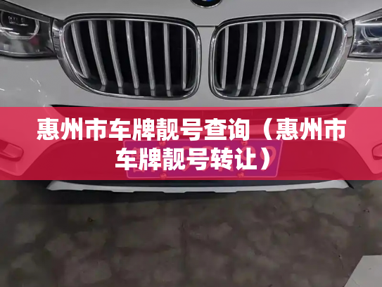 惠州市车牌靓号查询（惠州市车牌靓号转让）-第3张图片-七号汽车选号