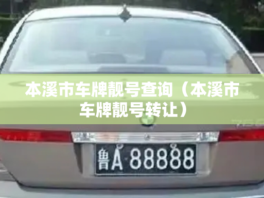 本溪市车牌靓号查询（本溪市车牌靓号转让）-第2张图片-七号汽车选号