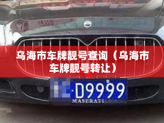 乌海市车牌靓号查询(乌海市车牌靓号转让)-第2张图片-七号汽车选号 乌海市车牌靓号查询(乌海市车牌靓号转让)-第2张图片-七号汽车选号