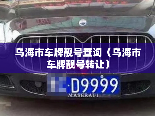乌海市车牌靓号查询(乌海市车牌靓号转让)-第3张图片-七号汽车选号 乌海市车牌靓号查询(乌海市车牌靓号转让)-第3张图片-七号汽车选号