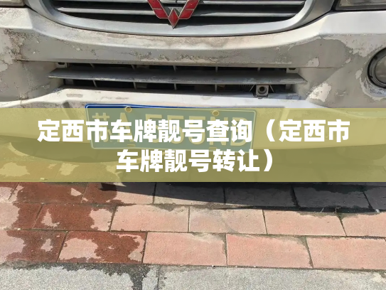 定西市车牌靓号查询（定西市车牌靓号转让）