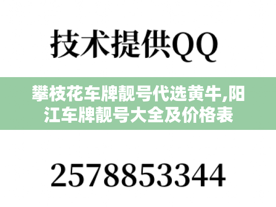 攀枝花车牌靓号代选黄牛,阳江车牌靓号大全及价格表