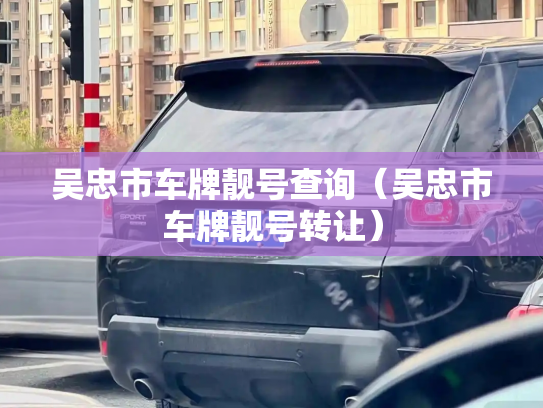 吴忠市车牌靓号查询（吴忠市车牌靓号转让）-第2张图片-七号汽车选号