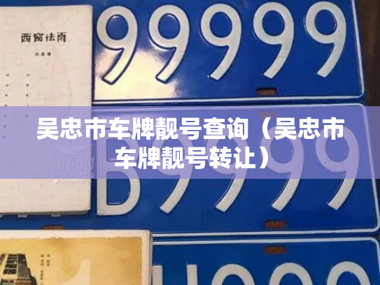 吴忠市车牌靓号查询（吴忠市车牌靓号转让）-第3张图片-七号汽车选号