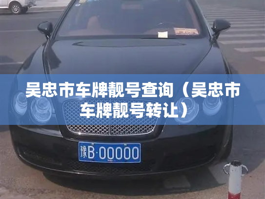 吴忠市车牌靓号查询（吴忠市车牌靓号转让）