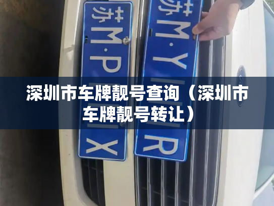 深圳市车牌靓号查询（深圳市车牌靓号转让）-第2张图片-七号汽车选号