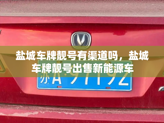盐城车牌靓号有渠道吗，盐城车牌靓号出售新能源车-第2张图片-七号汽车选号