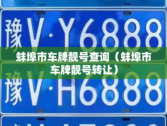 蚌埠市车牌靓号查询（蚌埠市车牌靓号转让）-第2张图片-七号汽车选号