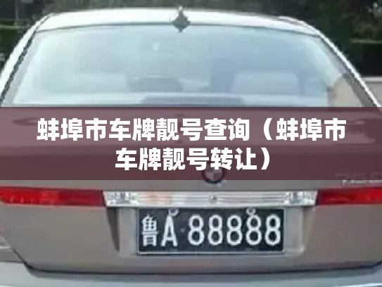 蚌埠市车牌靓号查询（蚌埠市车牌靓号转让）-第3张图片-七号汽车选号