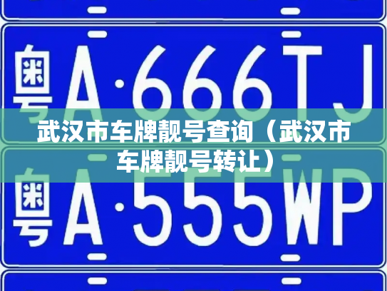 武汉市车牌靓号查询（武汉市车牌靓号转让）-第2张图片-七号汽车选号