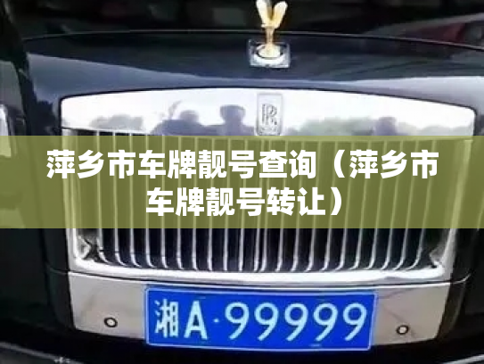 萍乡市车牌靓号查询（萍乡市车牌靓号转让）