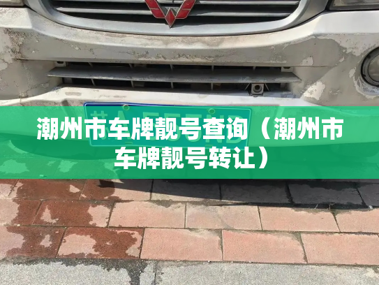 潮州市车牌靓号查询（潮州市车牌靓号转让）-第2张图片-七号汽车选号