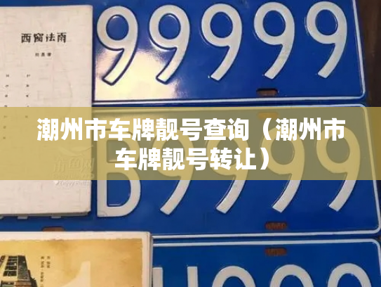 潮州市车牌靓号查询（潮州市车牌靓号转让）-第3张图片-七号汽车选号