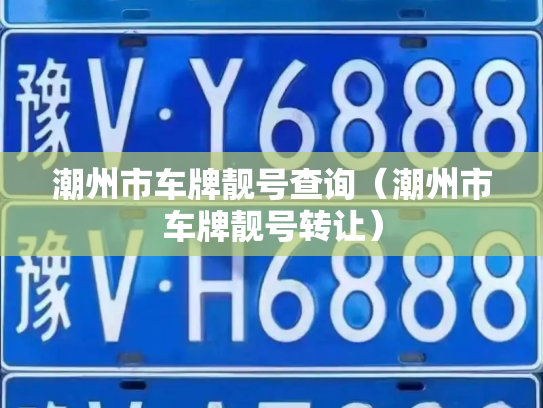 潮州市车牌靓号查询（潮州市车牌靓号转让）