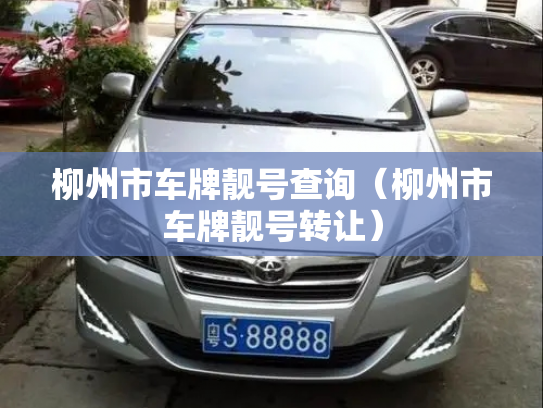 柳州市车牌靓号查询（柳州市车牌靓号转让）-第2张图片-七号汽车选号