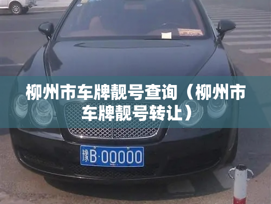 柳州市车牌靓号查询（柳州市车牌靓号转让）-第3张图片-七号汽车选号