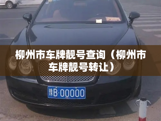 柳州市车牌靓号查询（柳州市车牌靓号转让）