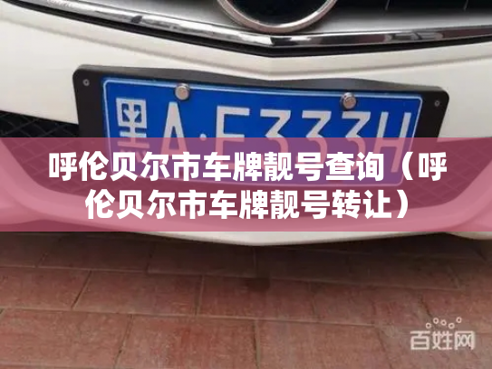 呼伦贝尔市车牌靓号查询（呼伦贝尔市车牌靓号转让）-第2张图片-七号汽车选号