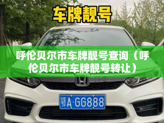 呼伦贝尔市车牌靓号查询（呼伦贝尔市车牌靓号转让）-第3张图片-七号汽车选号