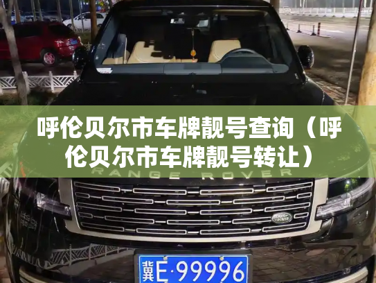 呼伦贝尔市车牌靓号查询（呼伦贝尔市车牌靓号转让）