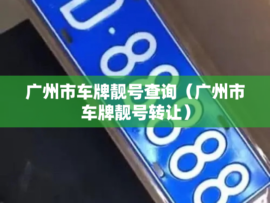 广州市车牌靓号查询（广州市车牌靓号转让）-第2张图片-七号汽车选号