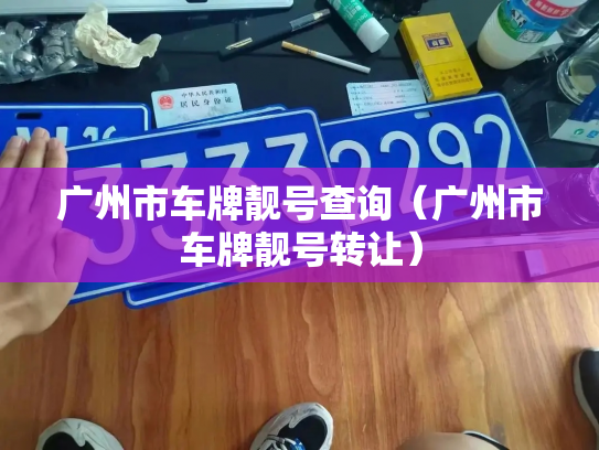 广州市车牌靓号查询（广州市车牌靓号转让）-第3张图片-七号汽车选号