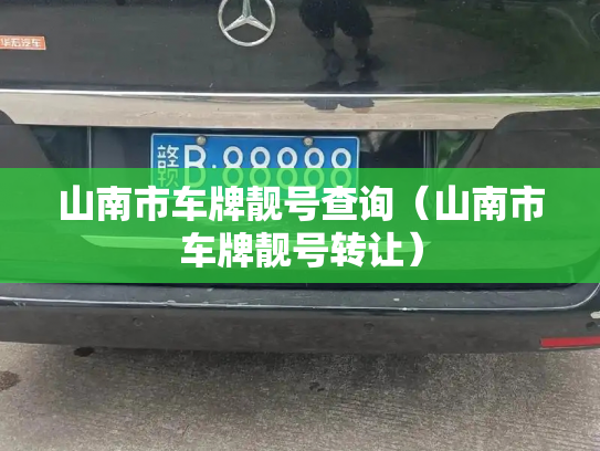 山南市车牌靓号查询（山南市车牌靓号转让）-第2张图片-七号汽车选号