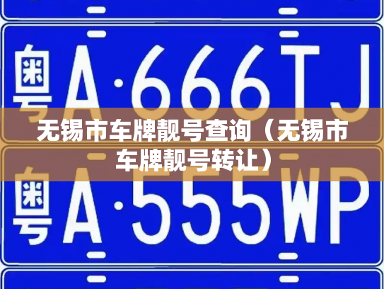 无锡市车牌靓号查询（无锡市车牌靓号转让）-第3张图片-七号汽车选号