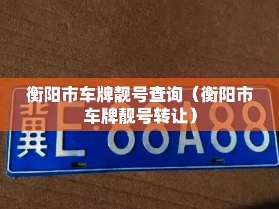 衡阳市车牌靓号查询（衡阳市车牌靓号转让）-第3张图片-七号汽车选号