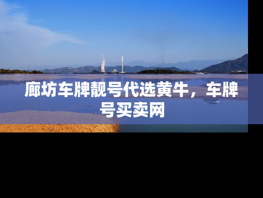廊坊车牌靓号代选黄牛，车牌号买卖网