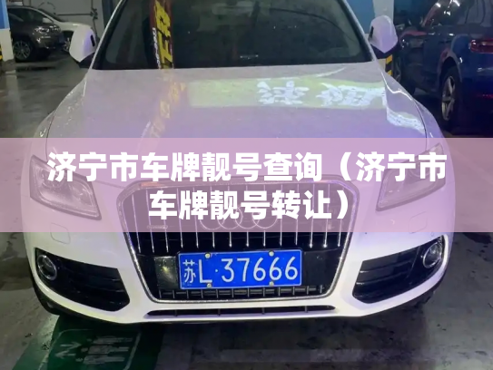 济宁市车牌靓号查询（济宁市车牌靓号转让）
