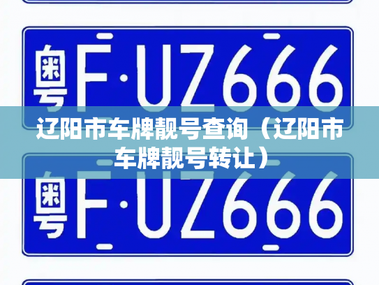 辽阳市车牌靓号查询（辽阳市车牌靓号转让）