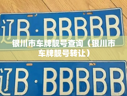 银川市车牌靓号查询（银川市车牌靓号转让）-第3张图片-七号汽车选号