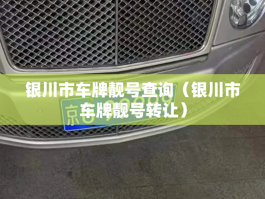 银川市车牌靓号查询（银川市车牌靓号转让）