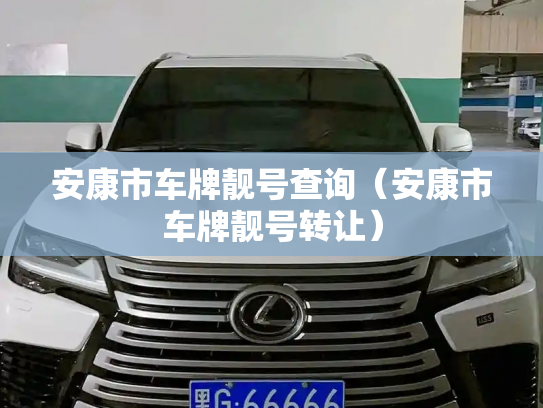 安康市车牌靓号查询（安康市车牌靓号转让）