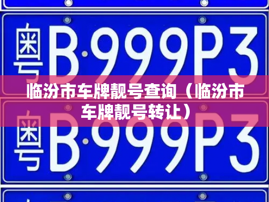 临汾市车牌靓号查询（临汾市车牌靓号转让）-第2张图片-七号汽车选号
