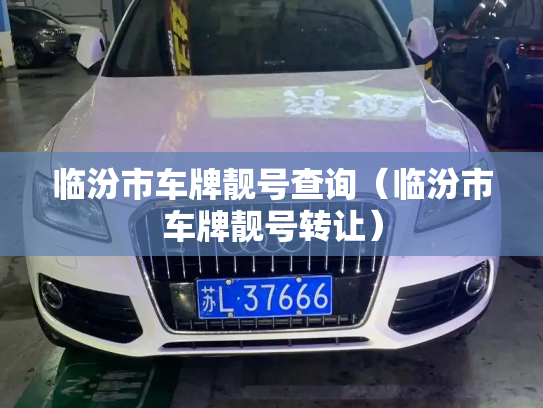 临汾市车牌靓号查询（临汾市车牌靓号转让）-第3张图片-七号汽车选号
