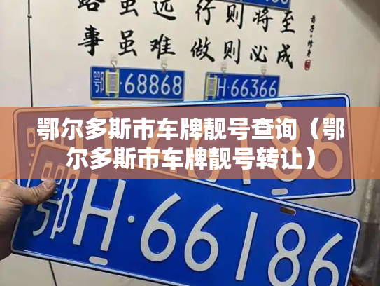 鄂尔多斯市车牌靓号查询（鄂尔多斯市车牌靓号转让）-第2张图片-七号汽车选号