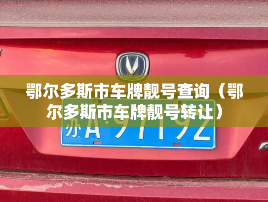 鄂尔多斯市车牌靓号查询（鄂尔多斯市车牌靓号转让）-第3张图片-七号汽车选号