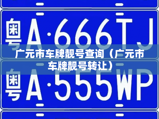 广元市车牌靓号查询（广元市车牌靓号转让）-第2张图片-七号汽车选号