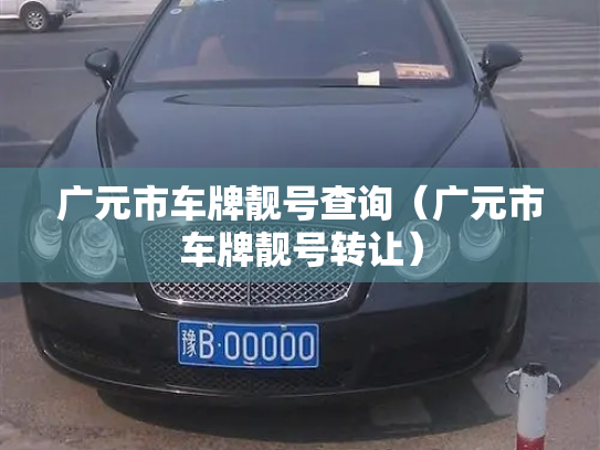 广元市车牌靓号查询（广元市车牌靓号转让）-第3张图片-七号汽车选号