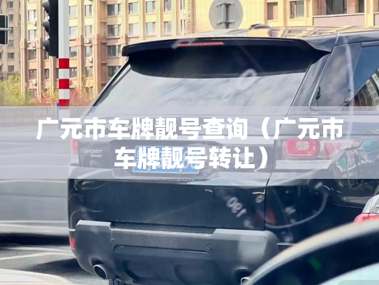 广元市车牌靓号查询（广元市车牌靓号转让）
