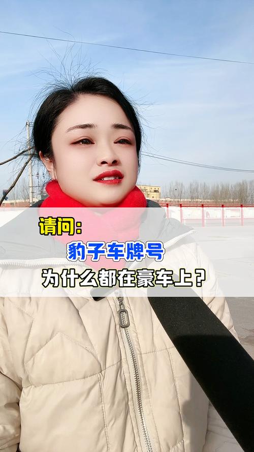 鞍山豹子车牌号多少钱能买，买车牌号去哪里买-第2张图片-七号汽车选号