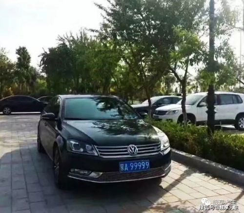 温州车牌靓号大全及价格表-阿坝车牌靓号拍卖-第1张图片-七号汽车选号 温州车牌靓号大全及价格表-阿坝车牌靓号拍卖-第1张图片-七号汽车选号