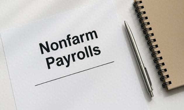 数据真空笼罩!9月非农料推迟发布,市场疯寻替代数据-第1张图片-七号汽车选号 数据真空笼罩!9月非农料推迟发布,市场疯寻替代数据-第1张图片-七号汽车选号